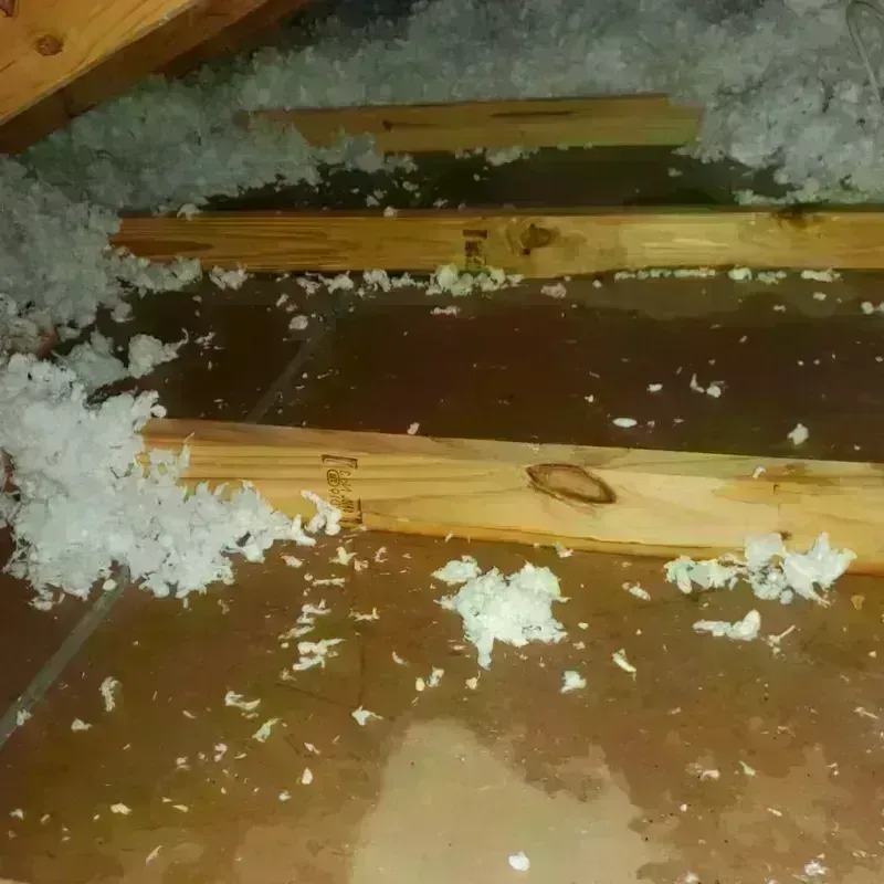 Attic Water Damage in Green River, WY