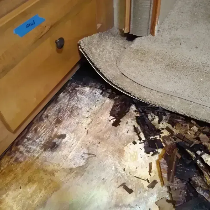 Wood Floor Water Damage in Green River, WY